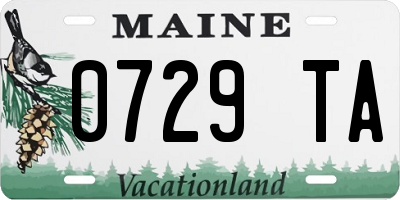 ME license plate 0729TA