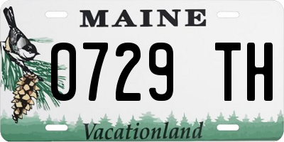 ME license plate 0729TH