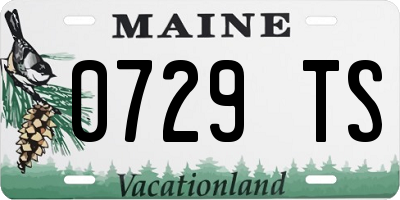 ME license plate 0729TS