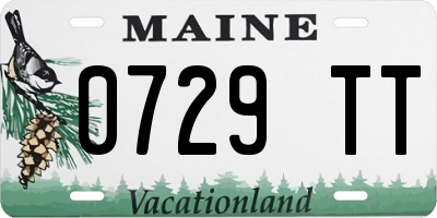 ME license plate 0729TT