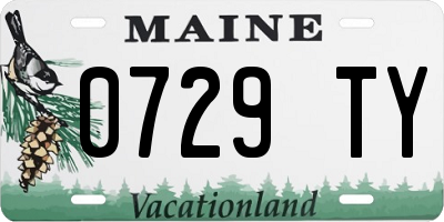 ME license plate 0729TY