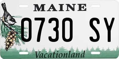 ME license plate 0730SY