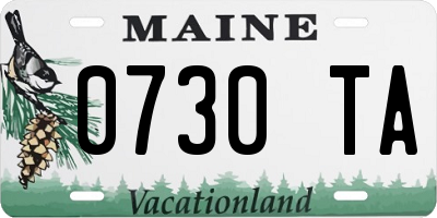 ME license plate 0730TA