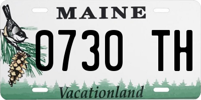 ME license plate 0730TH