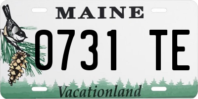 ME license plate 0731TE