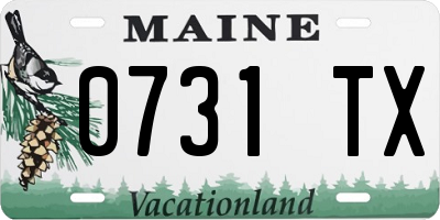 ME license plate 0731TX