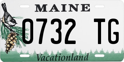 ME license plate 0732TG