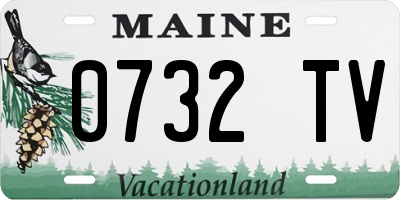 ME license plate 0732TV