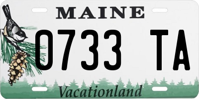 ME license plate 0733TA