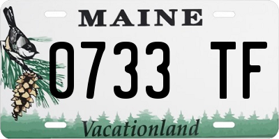 ME license plate 0733TF