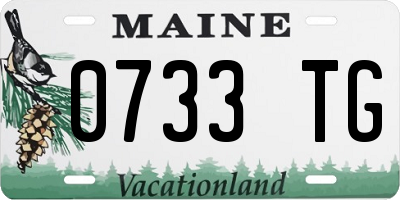 ME license plate 0733TG