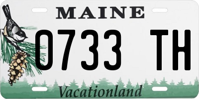 ME license plate 0733TH