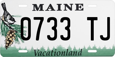 ME license plate 0733TJ