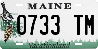 ME license plate 0733TM