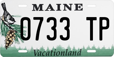 ME license plate 0733TP