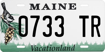 ME license plate 0733TR