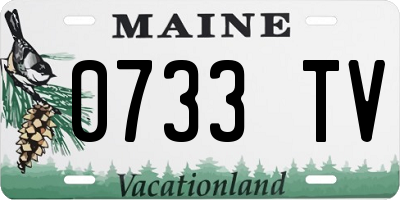 ME license plate 0733TV
