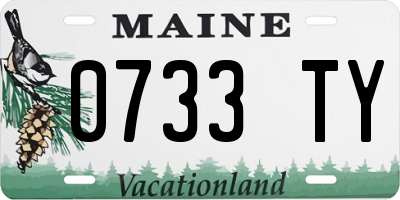 ME license plate 0733TY
