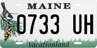 ME license plate 0733UH