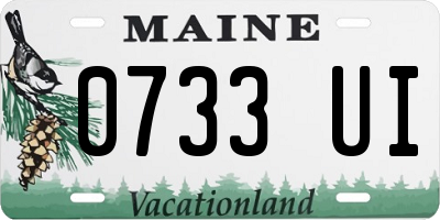 ME license plate 0733UI