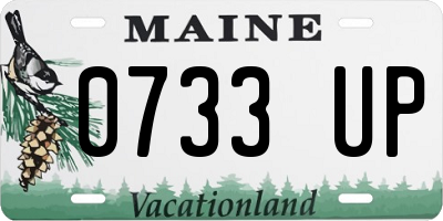 ME license plate 0733UP