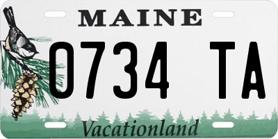 ME license plate 0734TA