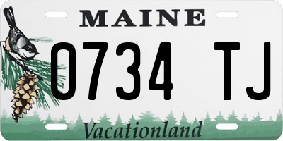 ME license plate 0734TJ