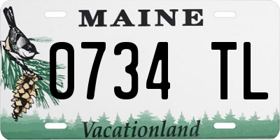 ME license plate 0734TL