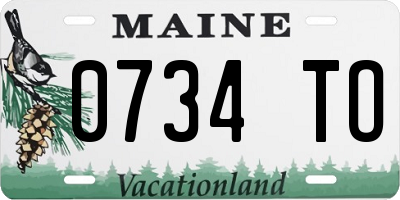 ME license plate 0734TO