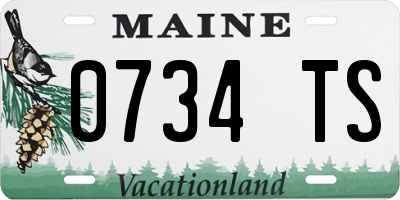 ME license plate 0734TS