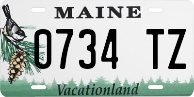 ME license plate 0734TZ