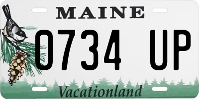 ME license plate 0734UP