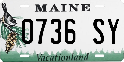 ME license plate 0736SY