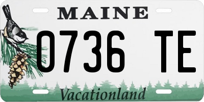 ME license plate 0736TE