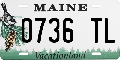 ME license plate 0736TL