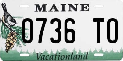 ME license plate 0736TO