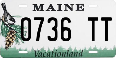 ME license plate 0736TT