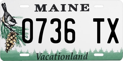 ME license plate 0736TX