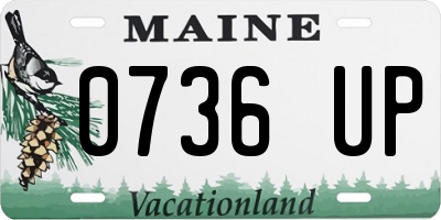 ME license plate 0736UP