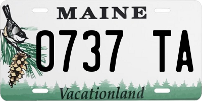 ME license plate 0737TA