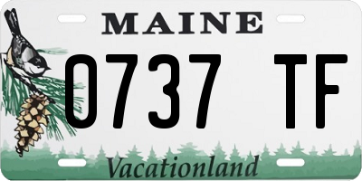 ME license plate 0737TF