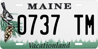 ME license plate 0737TM