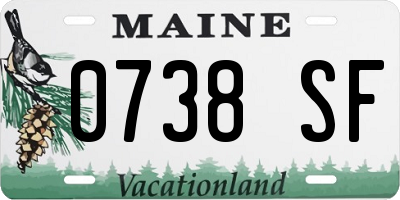 ME license plate 0738SF