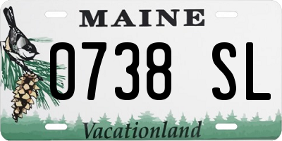 ME license plate 0738SL