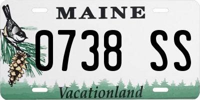 ME license plate 0738SS