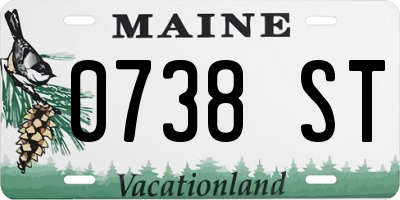 ME license plate 0738ST