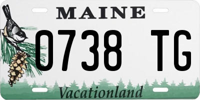 ME license plate 0738TG