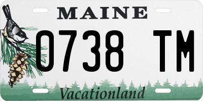 ME license plate 0738TM