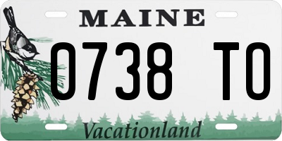 ME license plate 0738TO