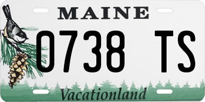 ME license plate 0738TS